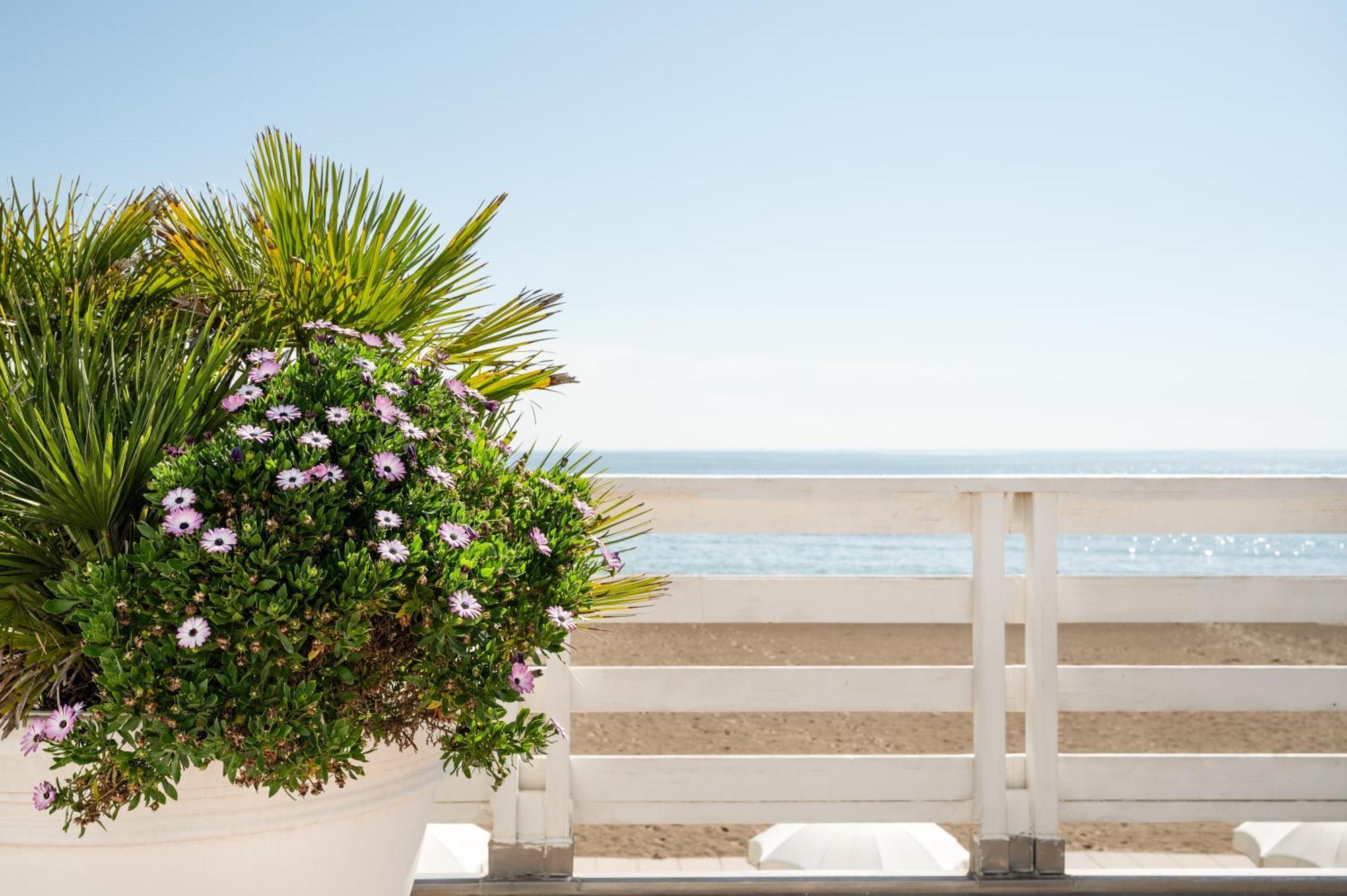 Hotel Terme Beach 3*