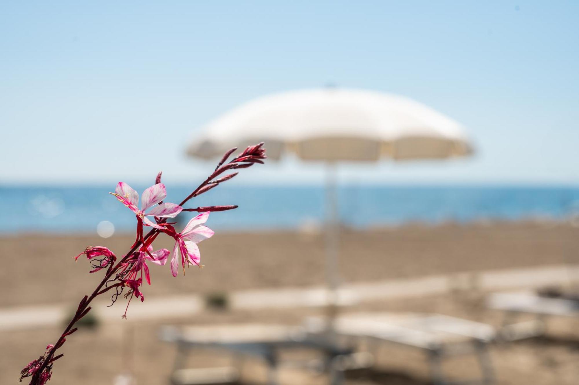 Terme Beach 3* Punta Marina